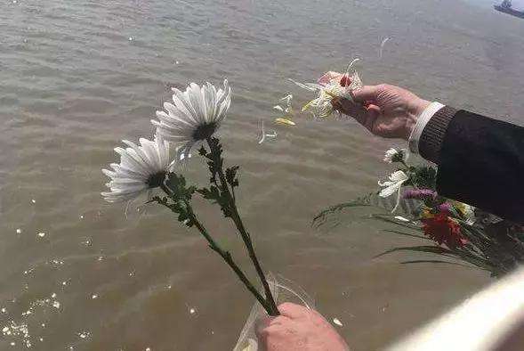 墓地安葬封穴大体流程